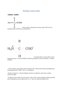 Amino Asitler - Biyoloji Ders Notları