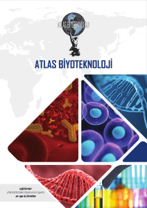 elisa - Atlas Biyoteknoloji
