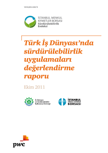 Türk İş Dünyası`nda sürdürülebilirlik uygulamaları