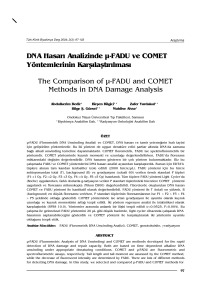 DNA Hasar› Analizinde µ-FADU ve COMET Yöntemlerinin Karfl›laflt