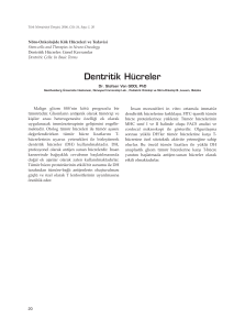 Dentritik Hücreler - Türk Nöroşirürji Dergisi