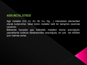 Konu 7. Ağır metal stresi File