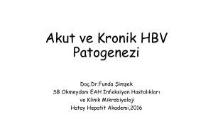 Akut-ve-Kronik-HBV-P..