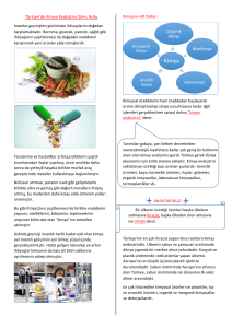 Türkiye`de Kimya Endüstrisi Ders Notu Organik Kimya Biyokimya