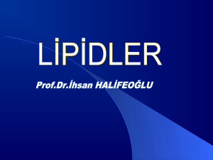 Lipidler - E-Sağlık Online