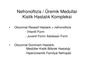 Nefronoftizis / Üremik Medullar Kistik Hastalık Kompleksi