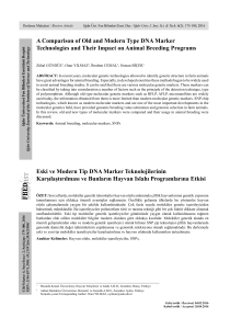 A Comparison of Old and Modern Type DNA