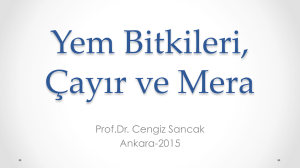 Prof.Dr. Cengiz Sancak Ankara-2015