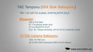 TAE Tamponu (50X Stok Solüsyonu)