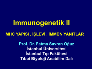 Immunogenetik II - İstanbul Tıp Fakültesi