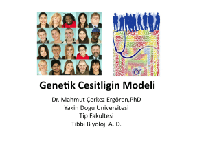 Genetik cesitliligin modeli