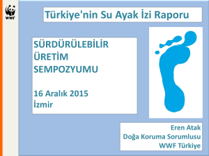 WWF Türkiye Su Ayak İzi