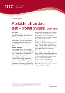 Prostatdan alınan doku testi – prostat biyopsisi/ Genel bakış