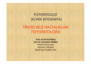 tiroid bezi hastalıkları fizyopatolojisi