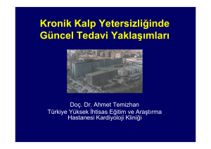 Ahmet Temizhan