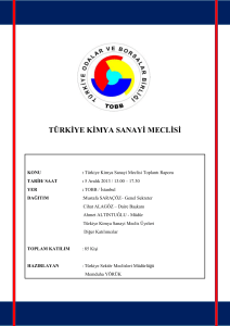 14.09.2009 tarihli türkiye telekomünikasyon meclisi toplantı raporu
