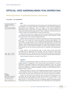 epitelyal over karsinomlarında pcna ekspresyonu