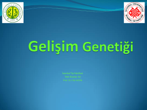 Gelişim Genetiği - İstanbul Tıp Fakültesi