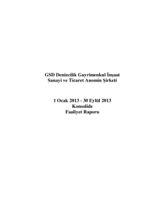 30 Eylül 2013 Konsolide Faaliyet Raporu