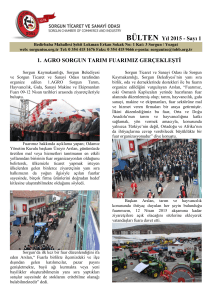 24/10/2013 tarihli ve 28801 sayılı Resmi Gazete`de yayınlanan