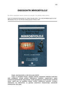 endodontik mikrobiyoloji