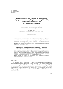 Determination of the Presence of crp genes in