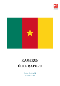 kamerun ülke raporu