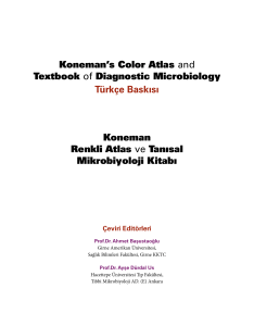 Koneman`s Color Atlas and Textbook of
