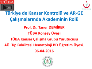 Prof. Dr. Taner Demirer