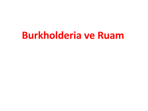 Burkholderia ve Ruam - Ankara Üniversitesi Açık Ders Malzemeleri