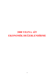 2008 yılına ait ekonomik değerlendirme