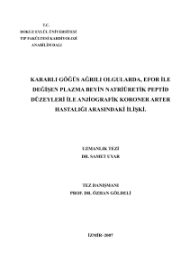 kararlı göğüs ağrılı olgularda, efor ile değişen plazma beyin