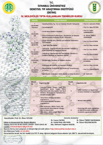 (detae) ıv. moleküler tıpta kullanılan teknikler kursu