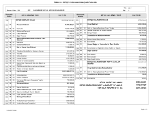 1.1 Bütçe Uygulama Sonuçları Tablosu