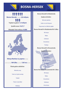 hollanda infografik