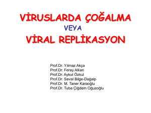 viruslarda çoğalma viral replikasyon veya