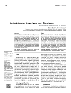 Acinetobacter Infections and Treatment