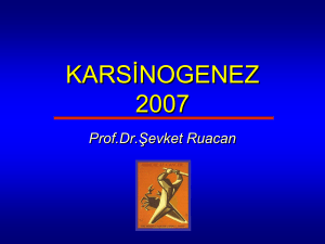 KARSİNOGENEZ 2007