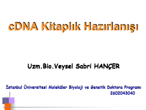 cDNA kitaplık - AVES - İstanbul Üniversitesi