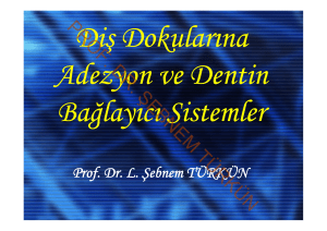 prof. dr. şebnem türkün - Ege Üniversitesi Diş Hekimliği Fakültesi