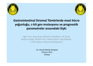 Gastrointestinal Stromal Tümörlerde mast hücre yoğunluğu, c
