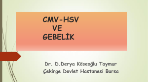 CMV-HSV-ve-Gebelik-D..