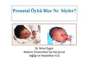 Microsoft PowerPoint - Nihal Oyg\374r