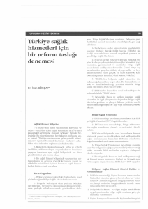 Türkiye sağlık hizmetleri için bir reform taslağı denemesi