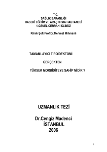 UZMANLIK TEZİ Dr.Cengiz Madenci İSTANBUL 2006