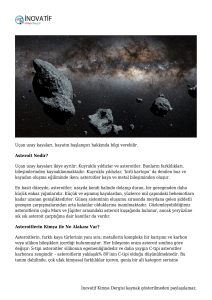 Asteroitlerden Ne Öğrenebiliriz?