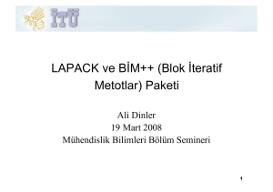 LAPACK ve BİM++ (Blok İteratif Metotlar)
