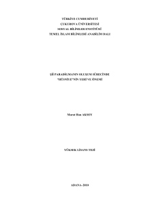 türkiye cumhuriyeti çukurova üniversitesi sosyal bilimler enstitüsü