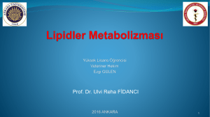 Lipid Metabolizması - Prof. Dr. Ulvi Reha Fidancı