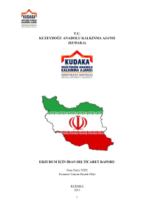 Erzurum için İran Dış Ticaret Raporu